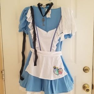 Alice In Wonderland Costume with Accessories